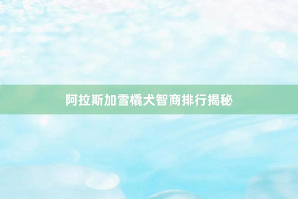 阿拉斯加雪橇犬智商排行揭秘